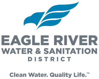 Summary logo