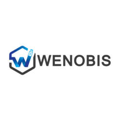 Wenobis IT GmbH logo