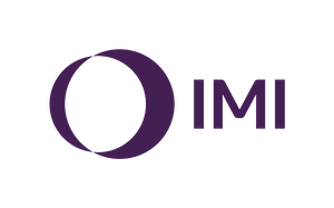imicriticalengineering logo
