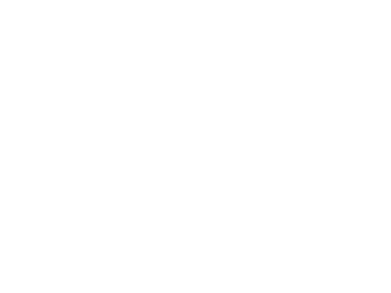Roto logo
