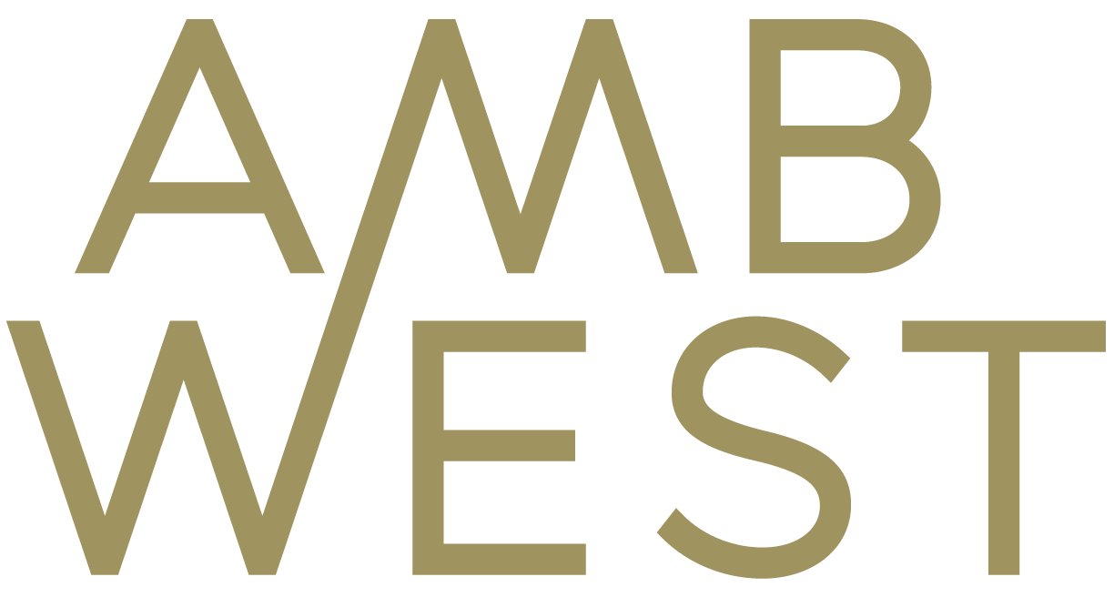 AMB Impact, LLC logo