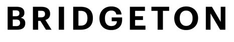 BRIDGETON HOLDINGS GROUP logo