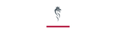 Scandinavian Tobacco Group A/S logo