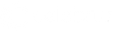 Celebrus Technologies plc logo
