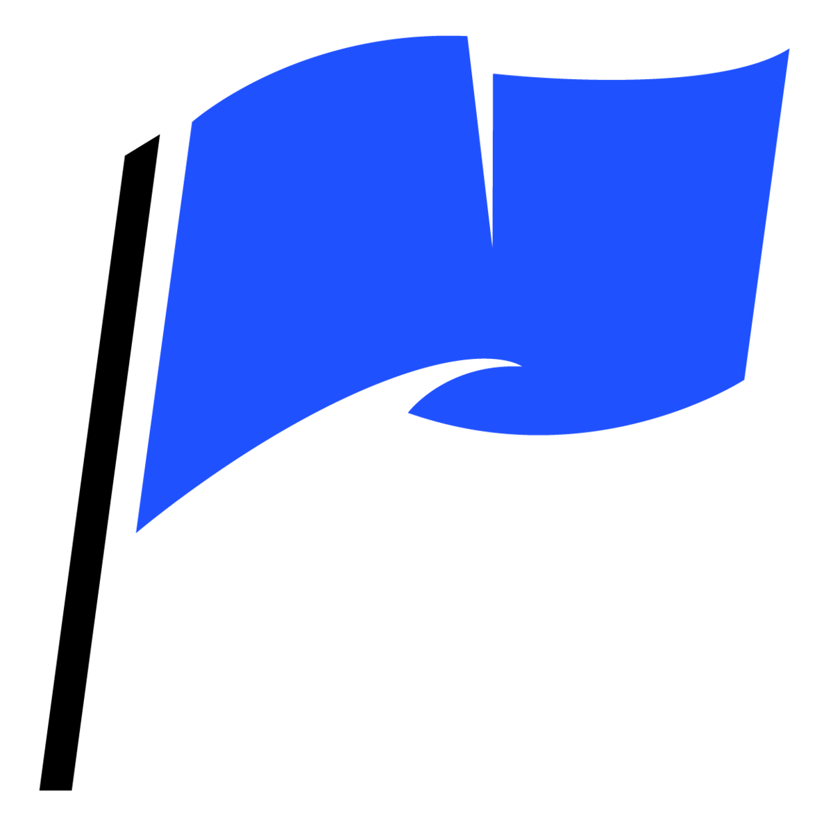 BlueFlag LLP
