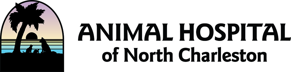 Animal Hospital of North Charleston logo