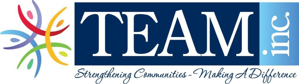 TEAM INC logo