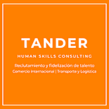 Tander Consulting logo
