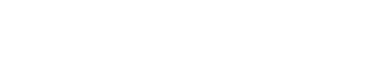 Anchor General Insurance Group logo