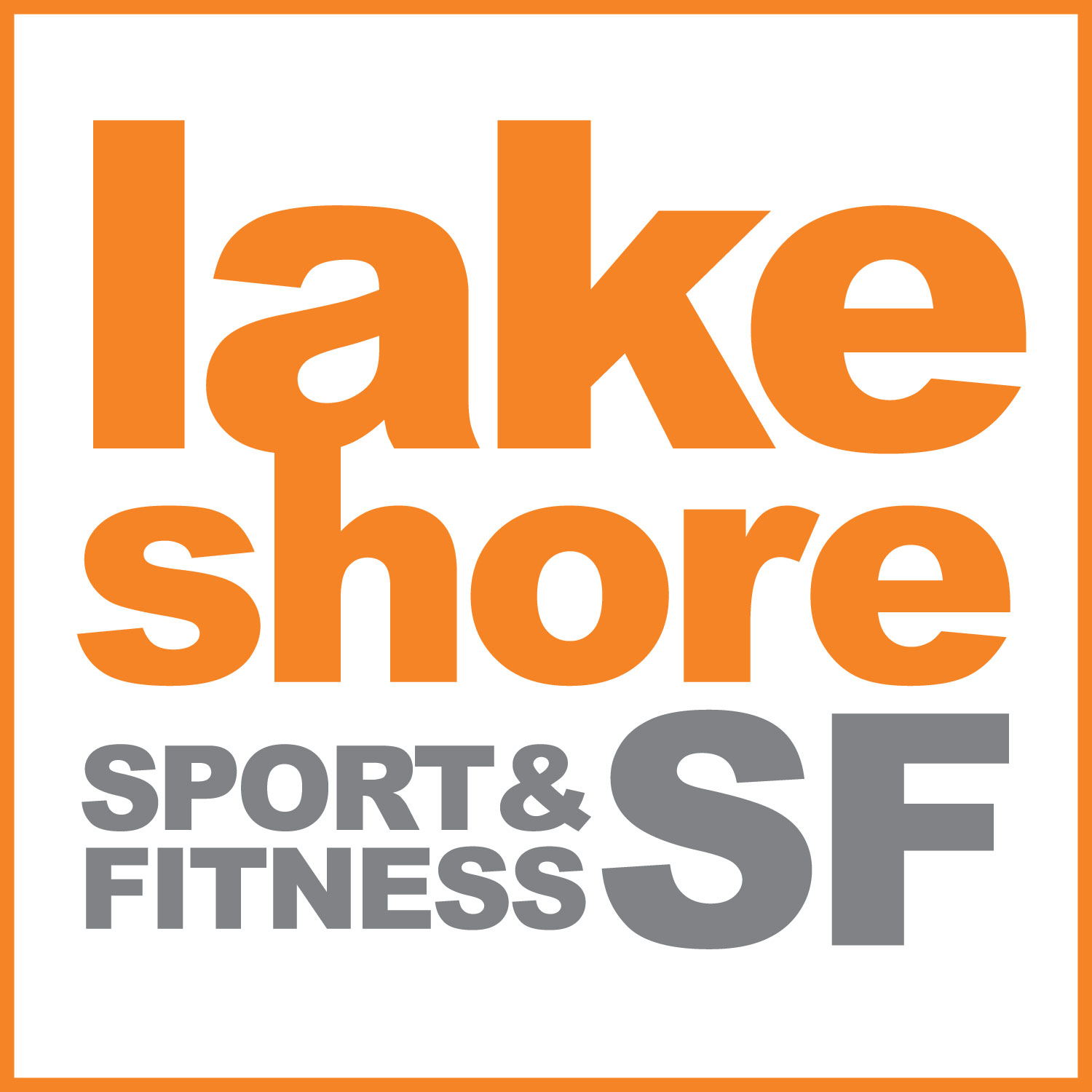 LAKESHORE SPORT & FITNESS GROUP logo