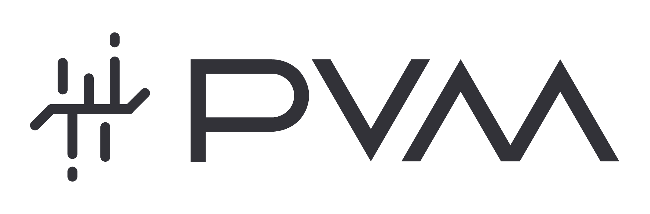 pvm logo