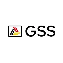 German Security Service GmbH logo
