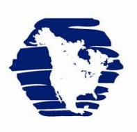 REMIS AMERICA logo