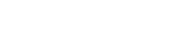 Central Hudson Gas & Electric Corporation logo