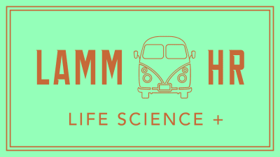 lammhr (recruitee) logo