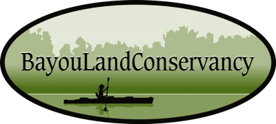 bayoulandconservancy (recruitee) logo