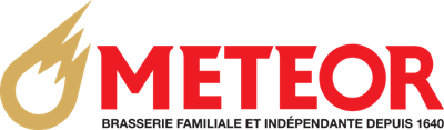 Groupe METEOR logo