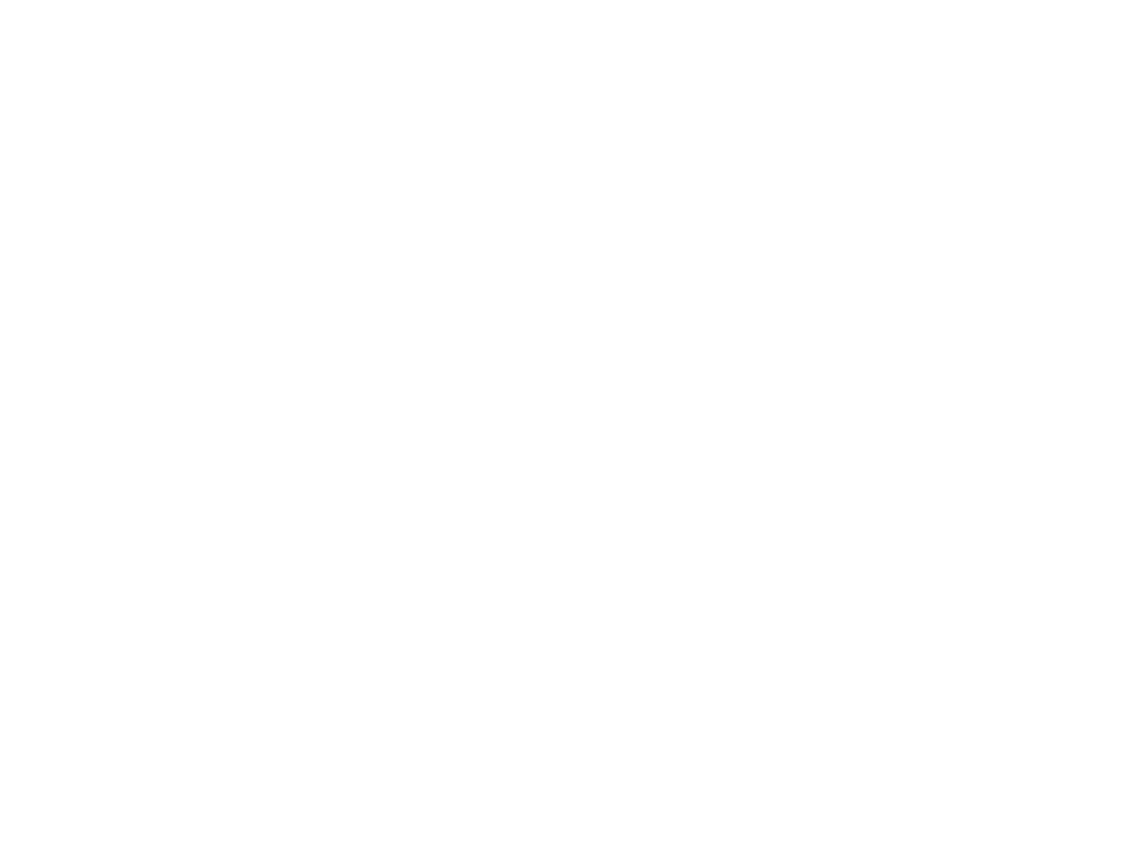 Royal American Companies logo