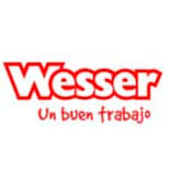 Wesser & Partner logo