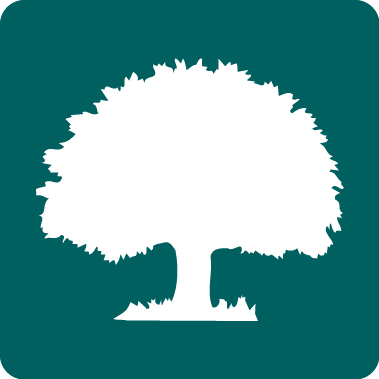 Student Loans Company Limited logo