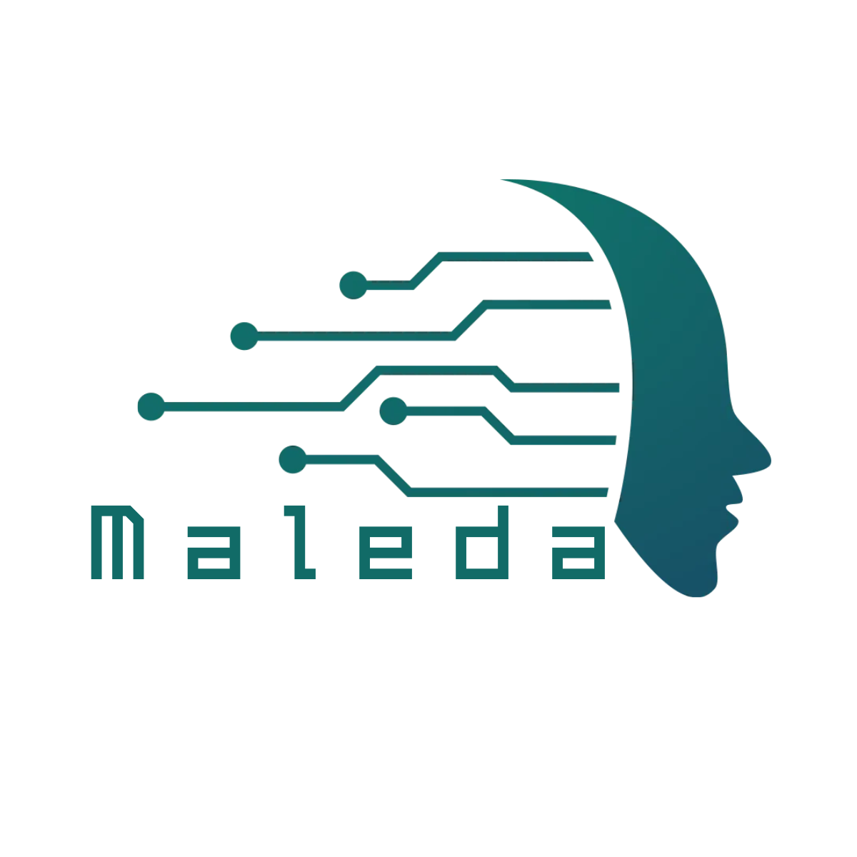 Maleda Tech logo
