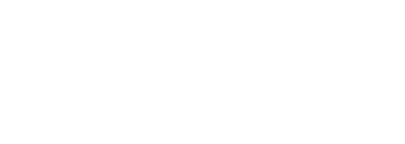 TOPPAN Security logo