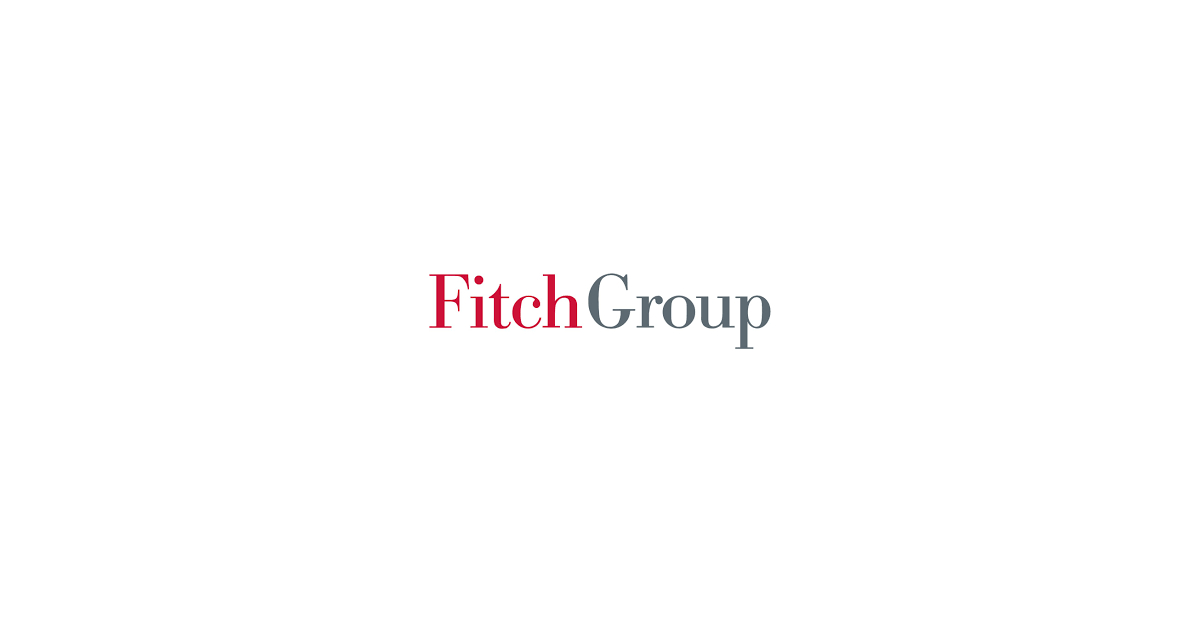 Fitch Group Inc P logo