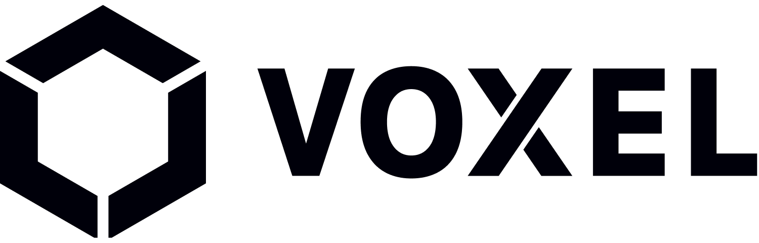 Voxel logo