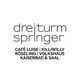 dreiturmspringer GmbH logo