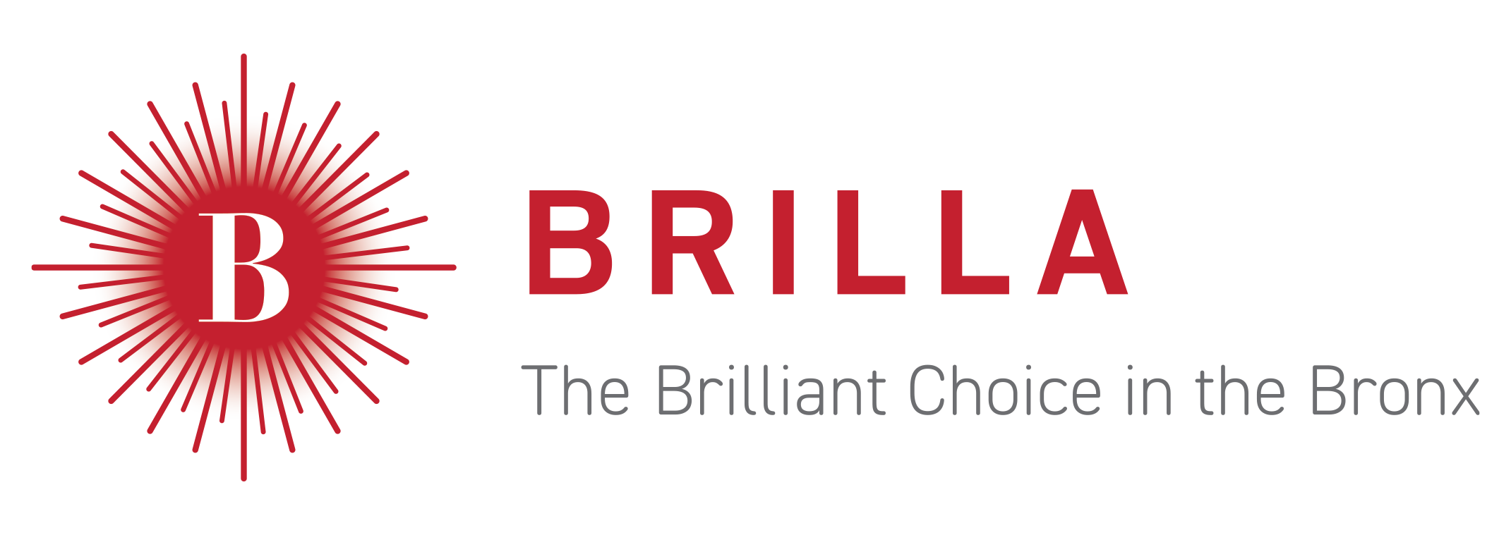 Brilla Schools logo