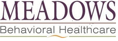 MEADOWS OF WICKENBURG INC logo