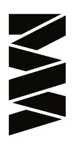 RaptStudio logo