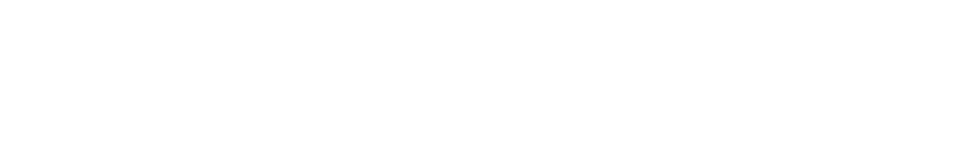 Sterlite Power logo