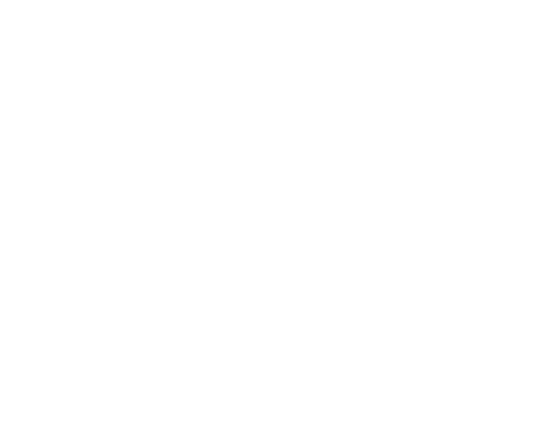 DASH logo