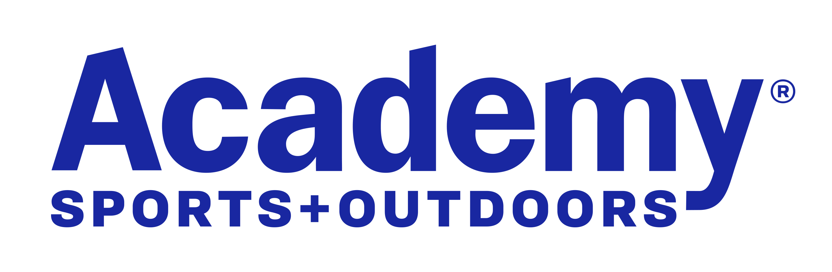 academy (workday) logo