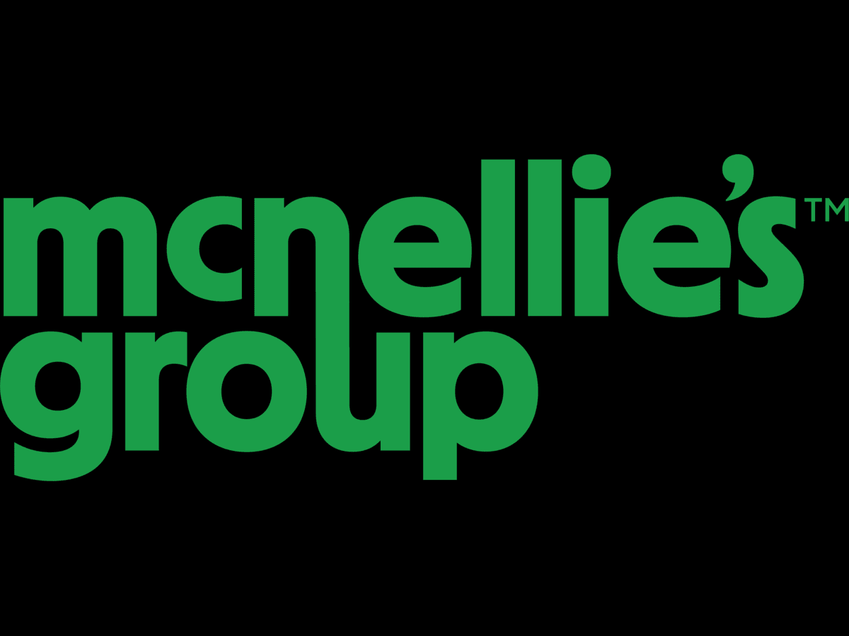 MCNELLIES GROUP LLC logo