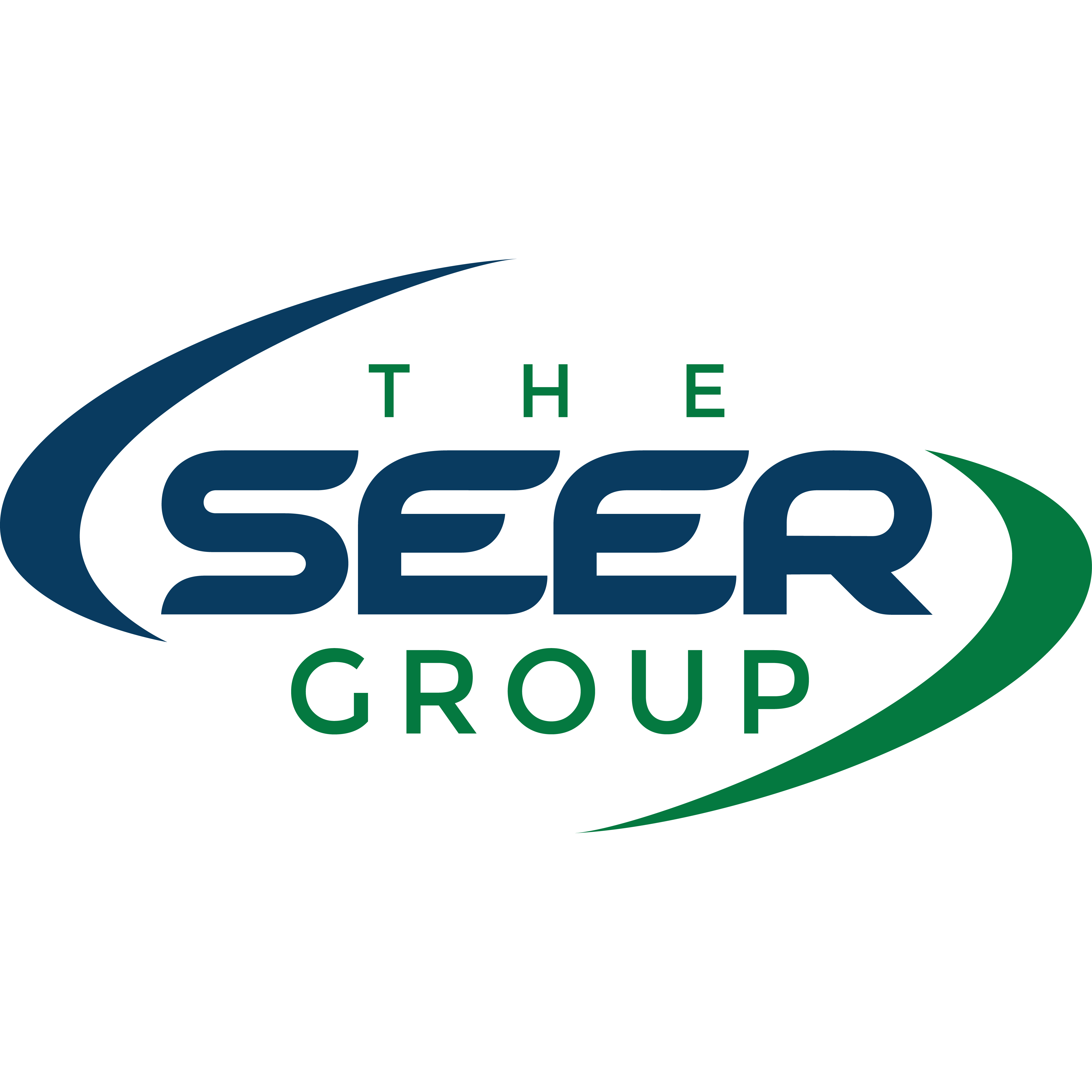 SEER GROUP logo