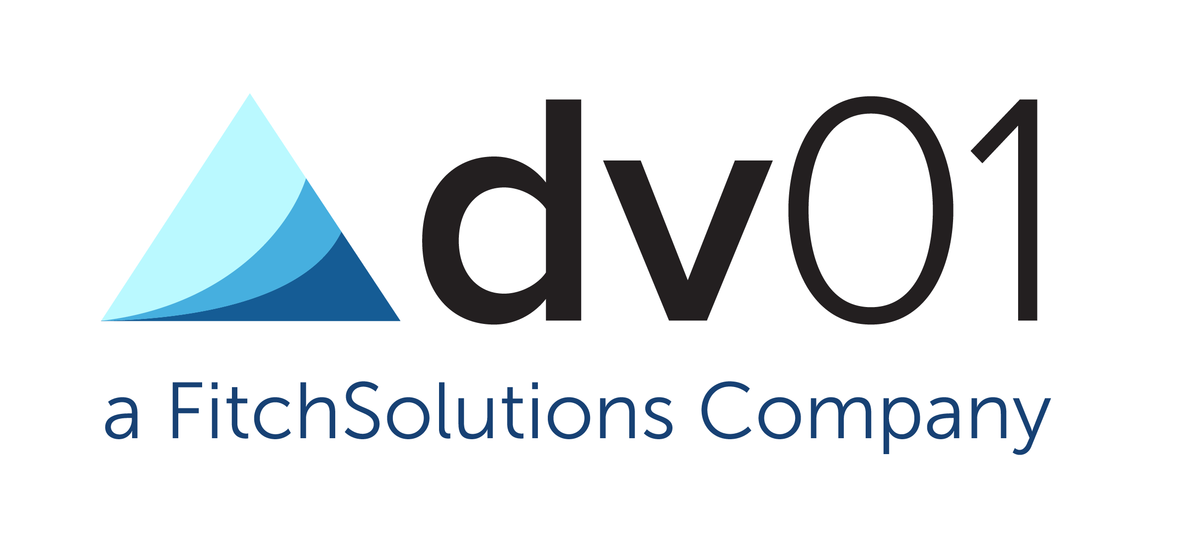 dv01 logo
