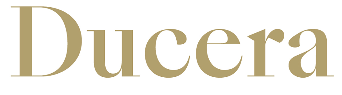 Ducera Partners - Experienced Hires logo