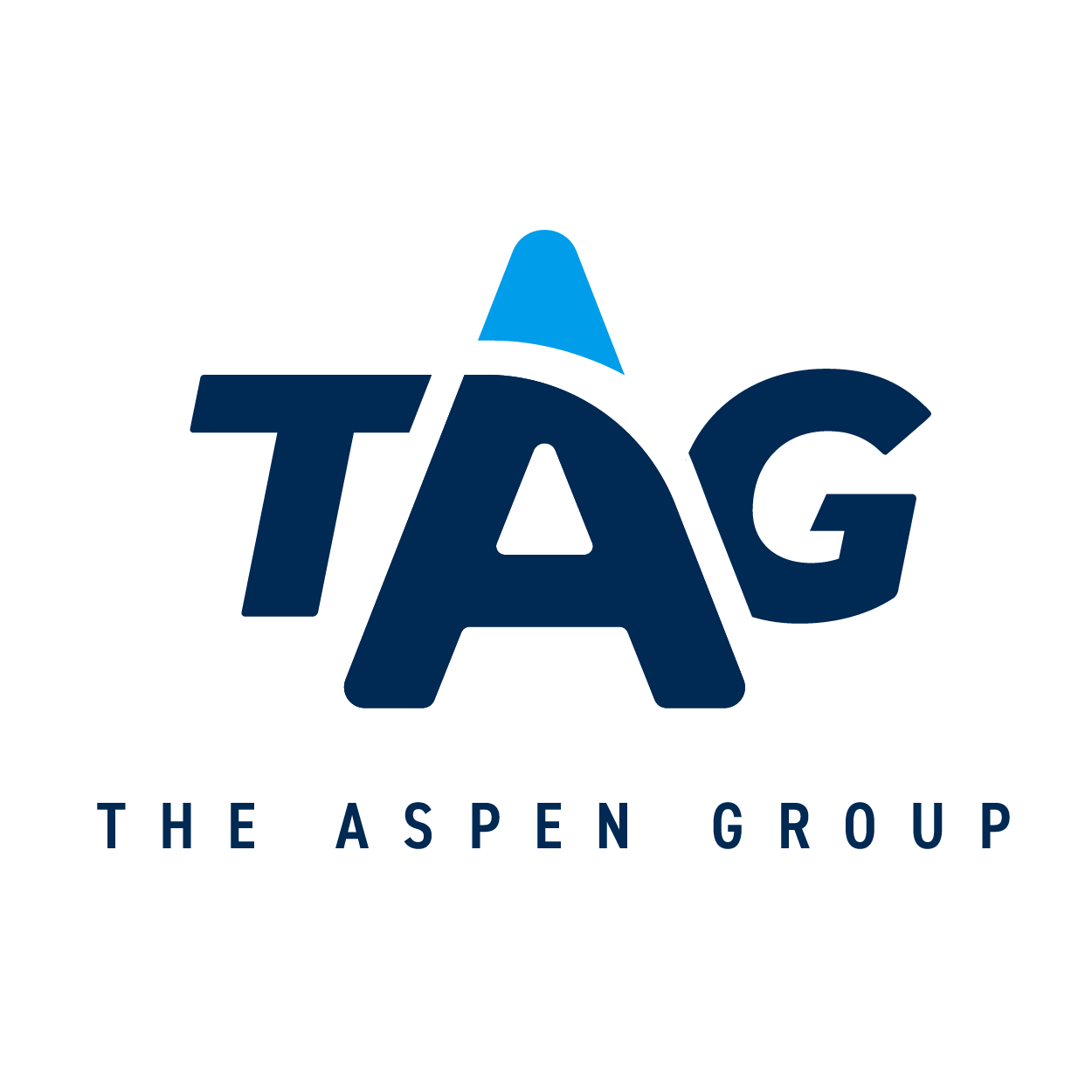 0507 Team TAG Services, LLC logo