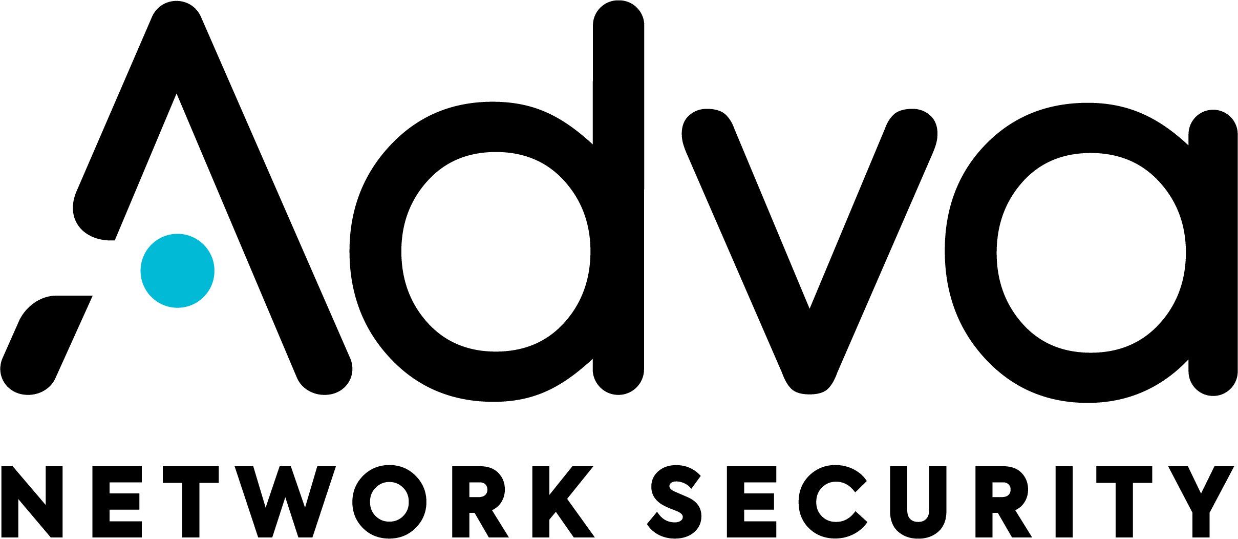 ANS logo
