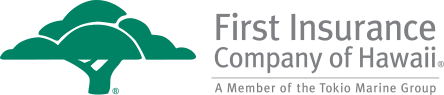 FICOH LTD logo