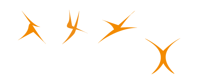 SPINE TEAM TEXAS MANAGEMENT COMPANY logo