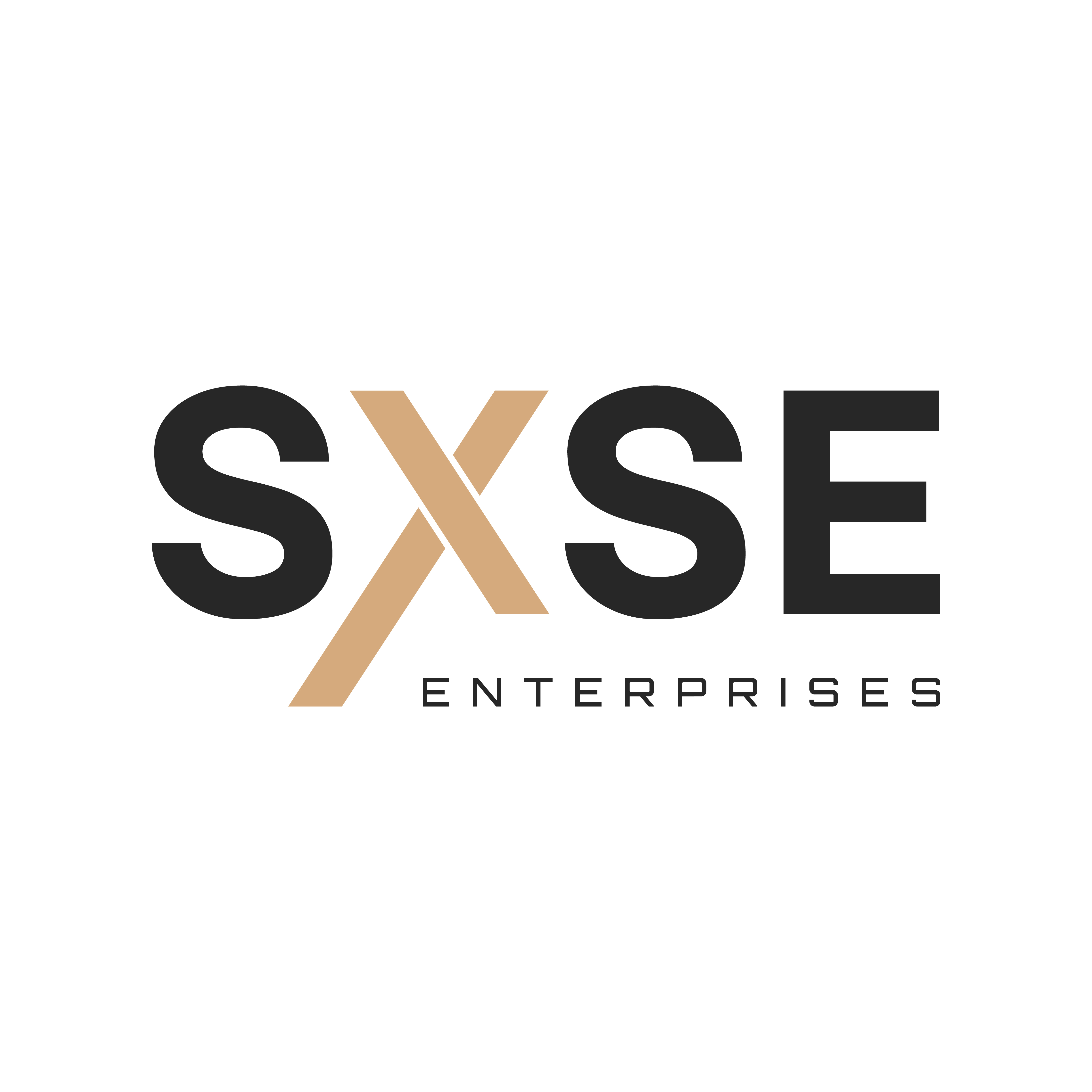 SXSE Enterprises logo