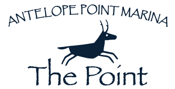 ANTELOPE POINT HOLDINGS LLC logo