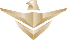 SAFE logo
