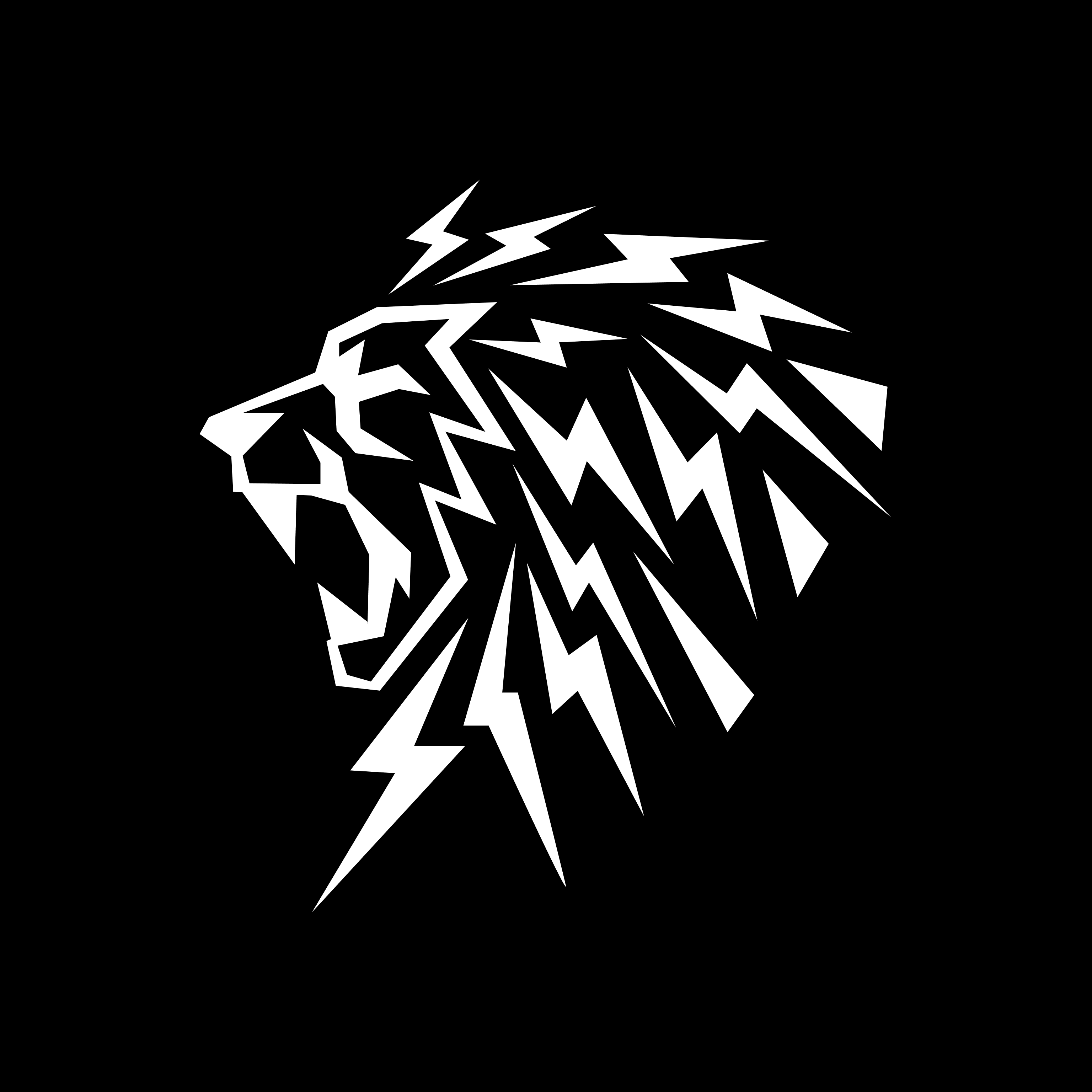 Ferocia logo