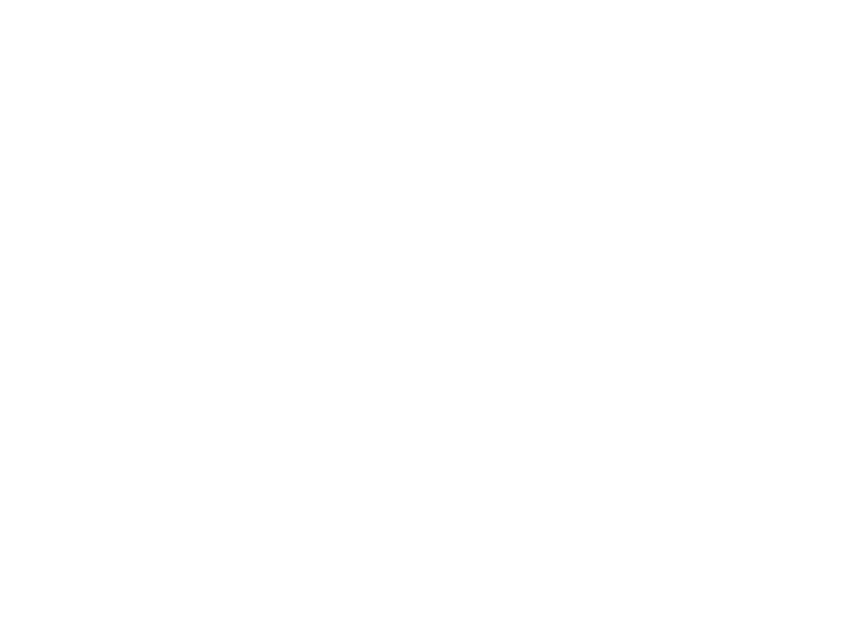 STUDENTS FOR LIFE OF AMERICA (MASTER) logo