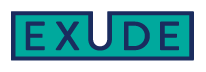 EXUDE HOLDINGS INC logo