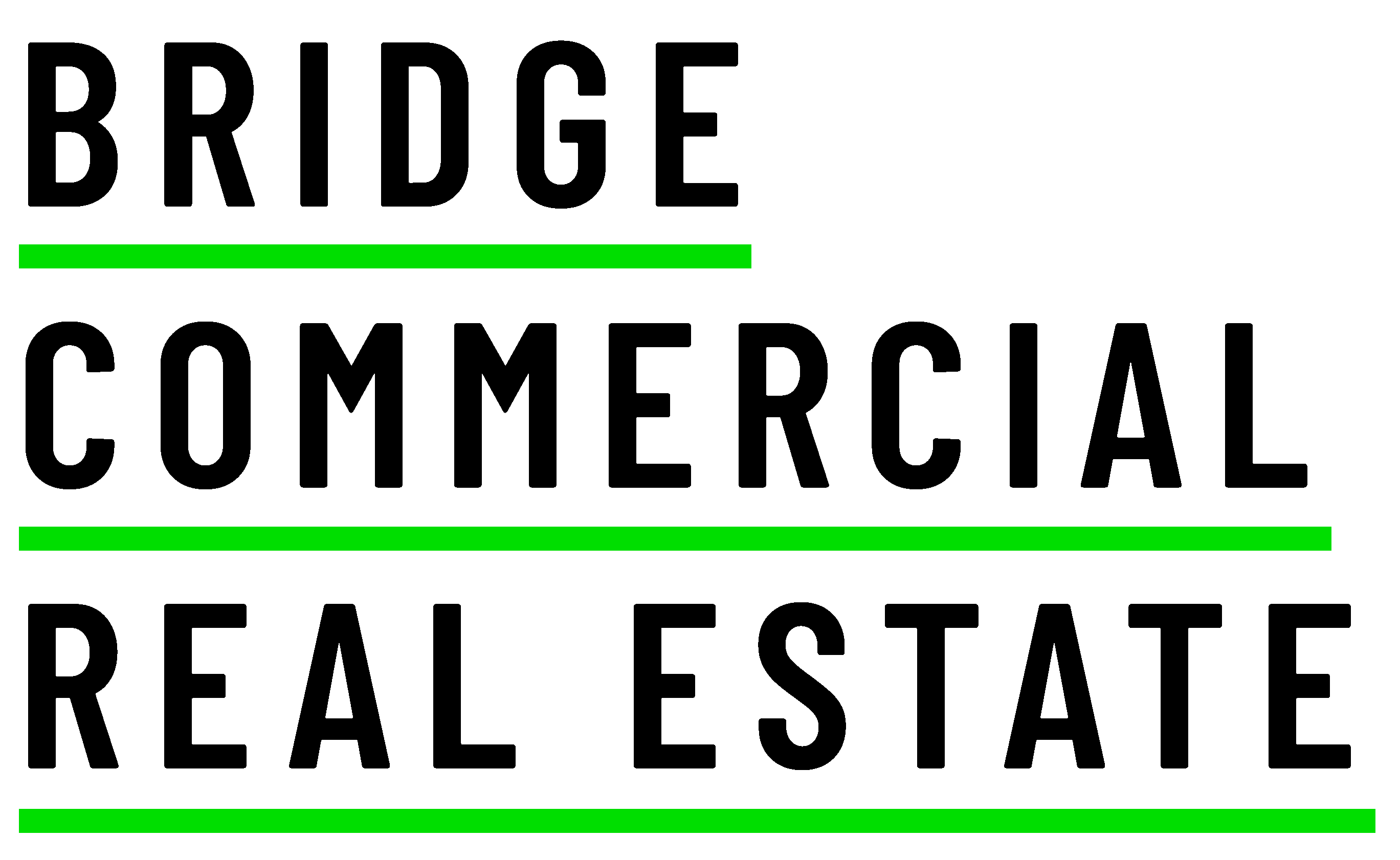 bridgeigp logo